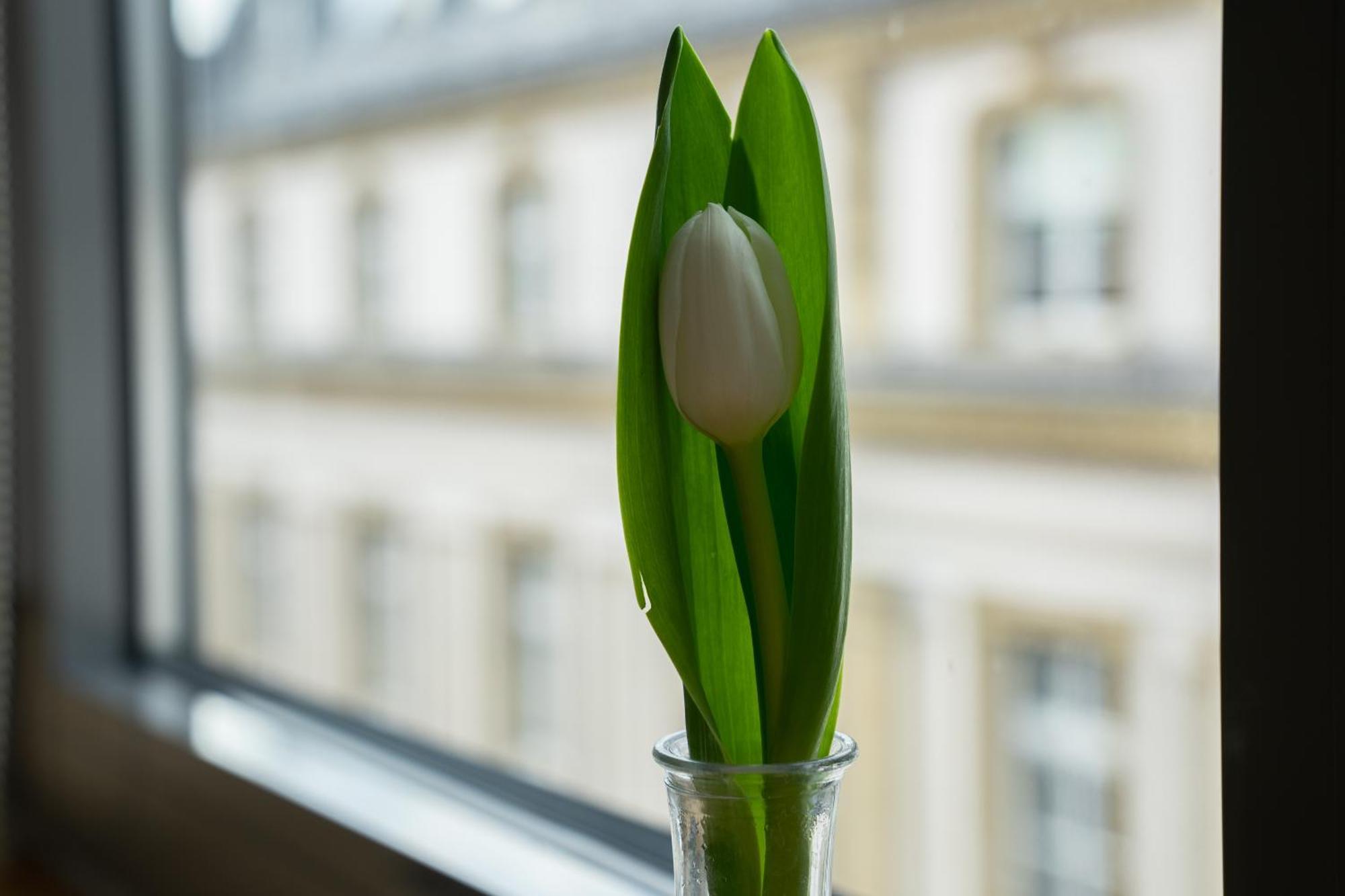 Sankt Andreas Hotel - Dusseldorf