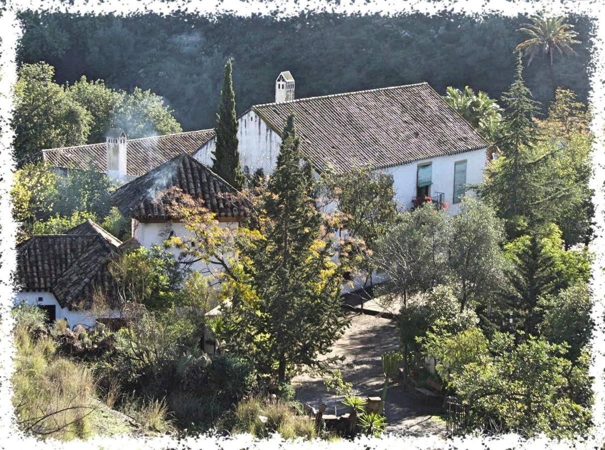 Cortijo Casas Viejas Villa - Malaga