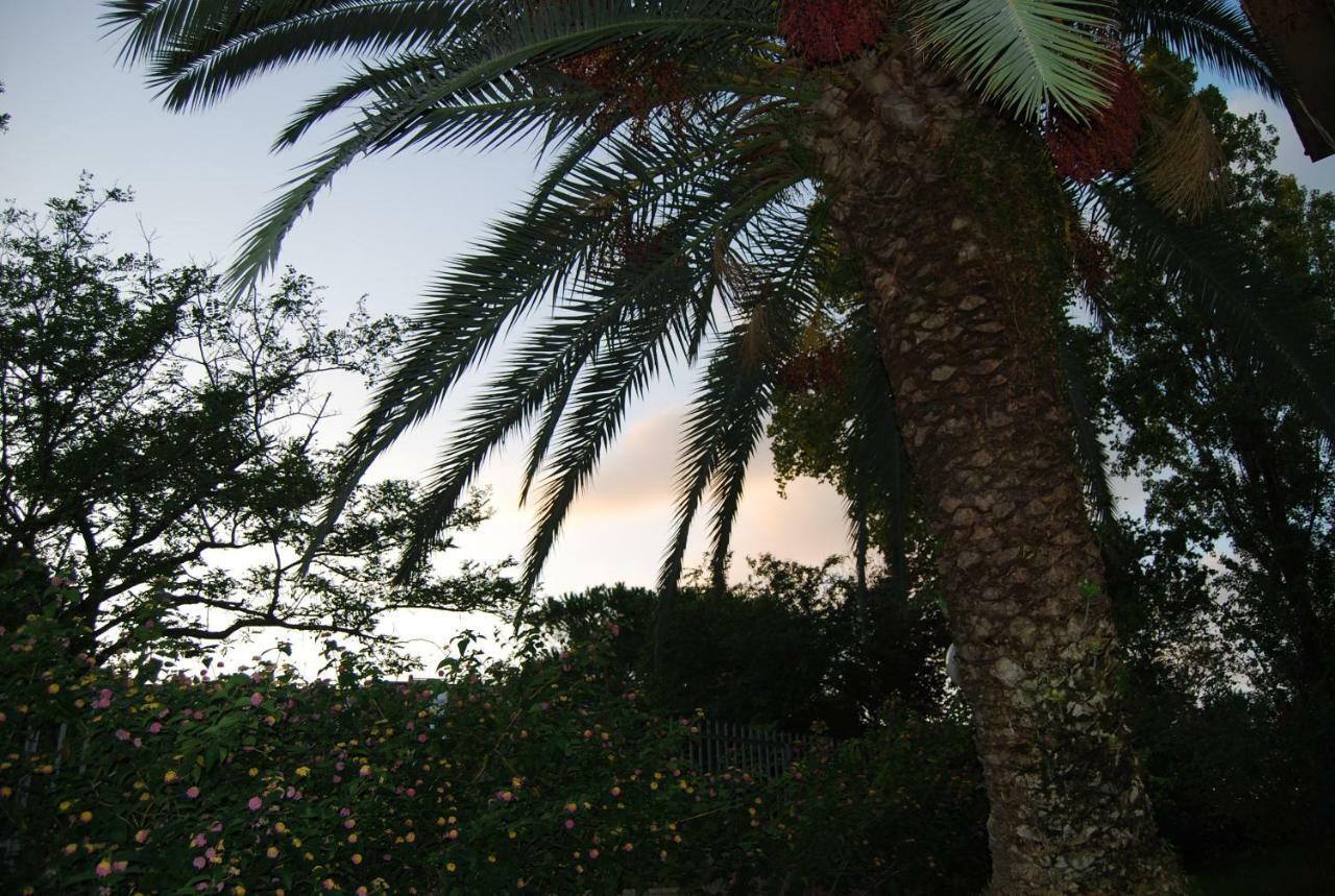 Roma Eur Bed & Breakfast - Rome