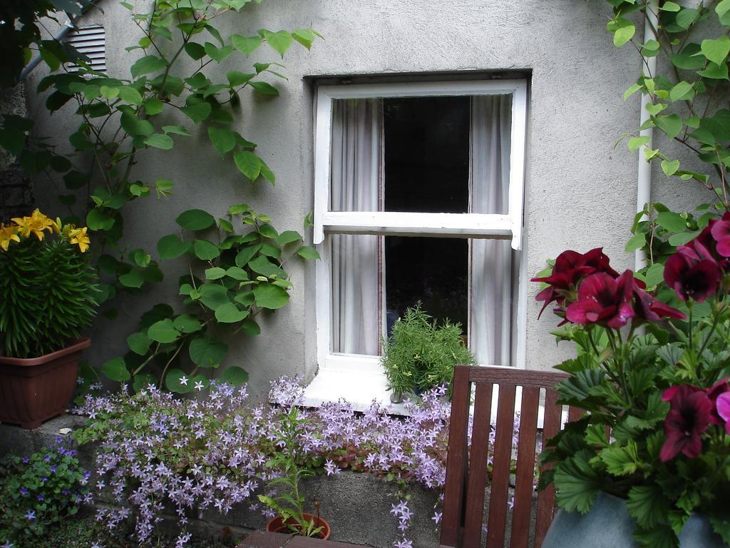 Harrington House Hostel - Dublin